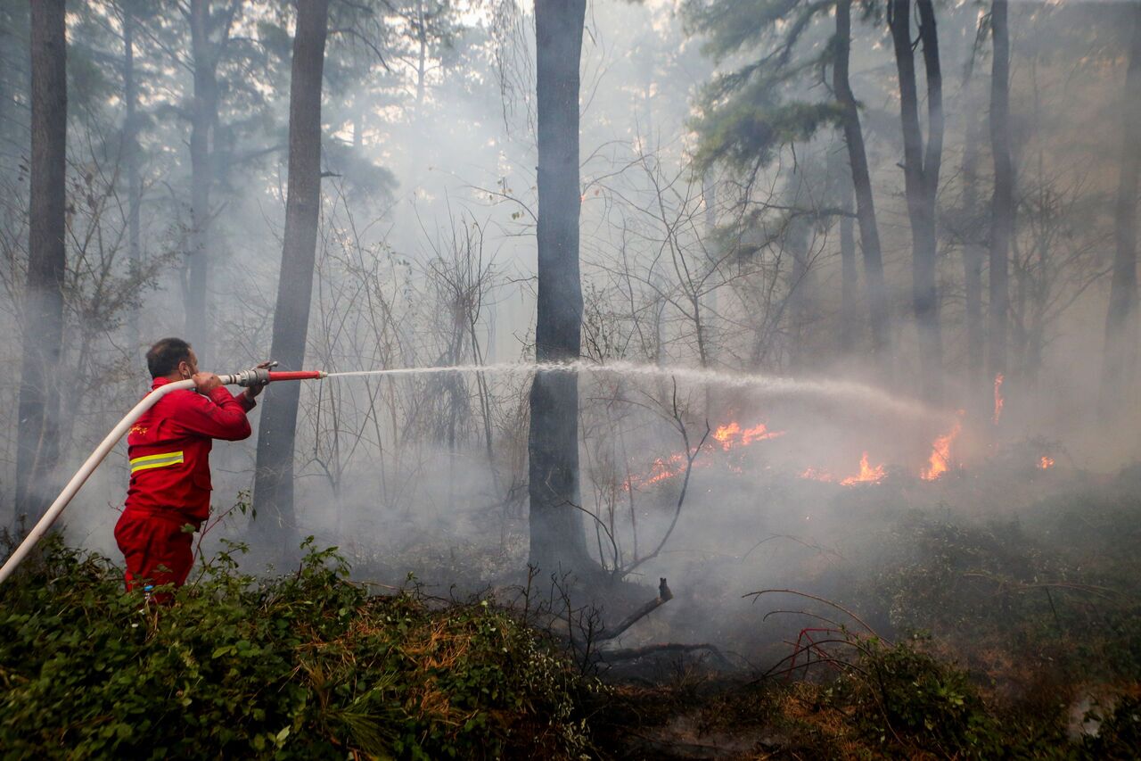 آتش‌سوزی بیشه‌های عباس آباد دزفول