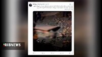 بازتاب عملکرد مقتدرانه جمهوری اسلامی در فضای مجازی