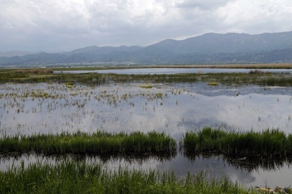 ضرورت تامین حق آبه تالاب‌های آذربایجان غربی برای گذر از تابستان گرم