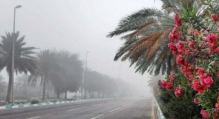 غبار محلی و وزش باد پدیده غالب جوی استان بوشهر