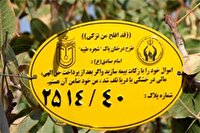 پلاک گذاری ۲۵۰ اصله درخت در طرح شجره طیبه