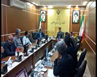 برنامه ریزی برای پرداخت تسهیلات اشتغال زایی در دامغان
