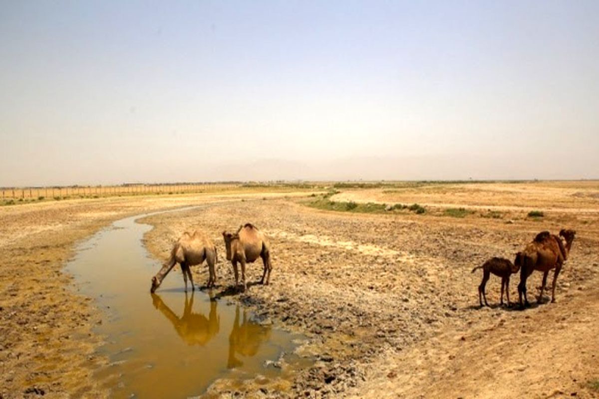 زیستن با کم آبی را بیآموزیم
