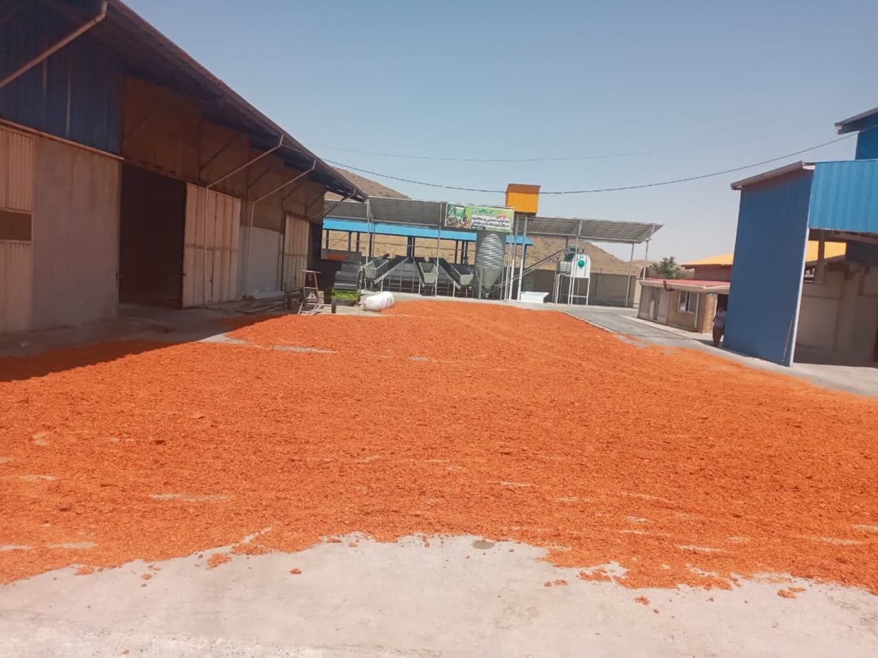 تولید خوراک کامل سیلاژی از بقایای کشاورزی؛ گامی مؤثر در کاهش وابستگی به نهادههای وارداتی تولید خوراک کامل سیلاژی از بقایای کشاورزی؛ گامی مؤثر در کاهش وابستگی به نهادههای وارداتی