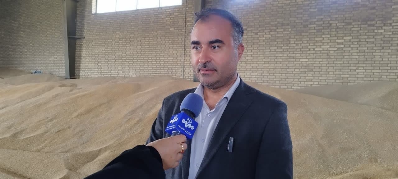 تسویه کامل مطالبات کلزاکاران آذربایجانغربی/ پرداخت ۱۵۶ میلیارد تومان به کشاورزان تسویه کامل مطالبات کلزاکاران آذربایجانغربی/ پرداخت ۱۵۶ میلیارد تومان به کشاورزان