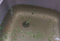 ایده شستشوی صحیح سبزیجات در عین صرفه جویی از آب