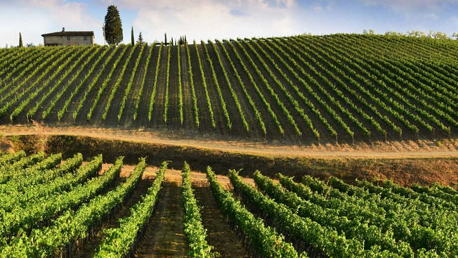 انجام صدها نظارت بر طرحهای اجرا شده در اراضی واگذاری آذربایجان غربی انجام صدها نظارت بر طرحهای اجرا شده در اراضی واگذاری آذربایجان غربی