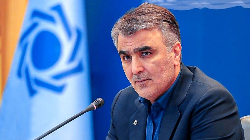 فرزین: اقتصاد در حال بازیابی مجدد است فرزین: اقتصاد در حال بازیابی مجدد است