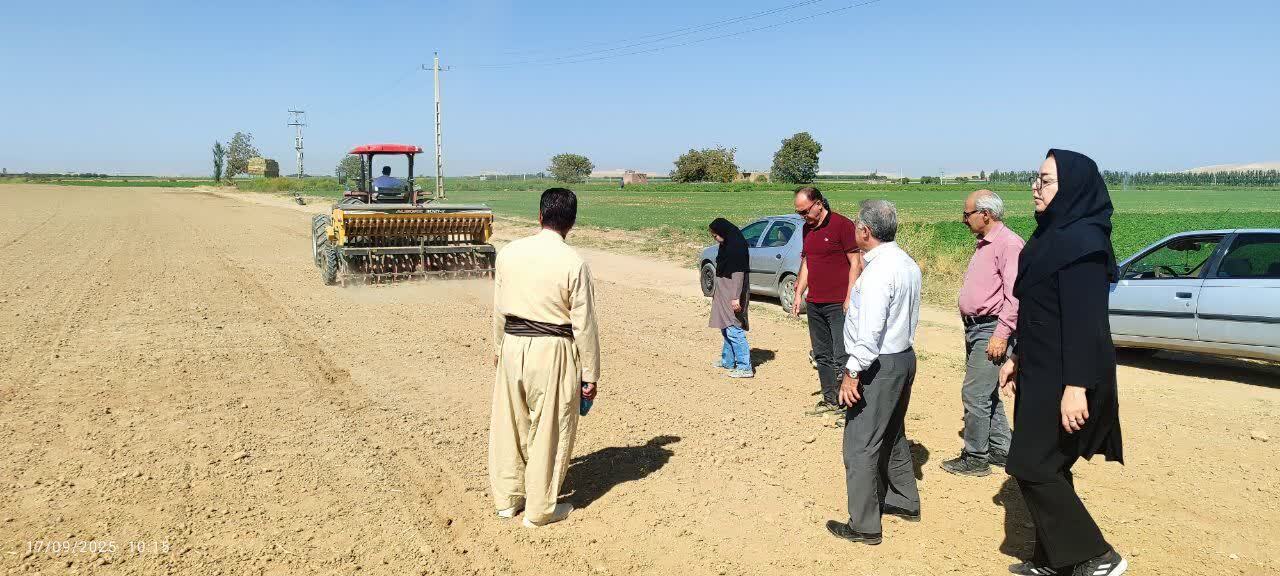 آغاز کشت کلزا در میاندوآب 