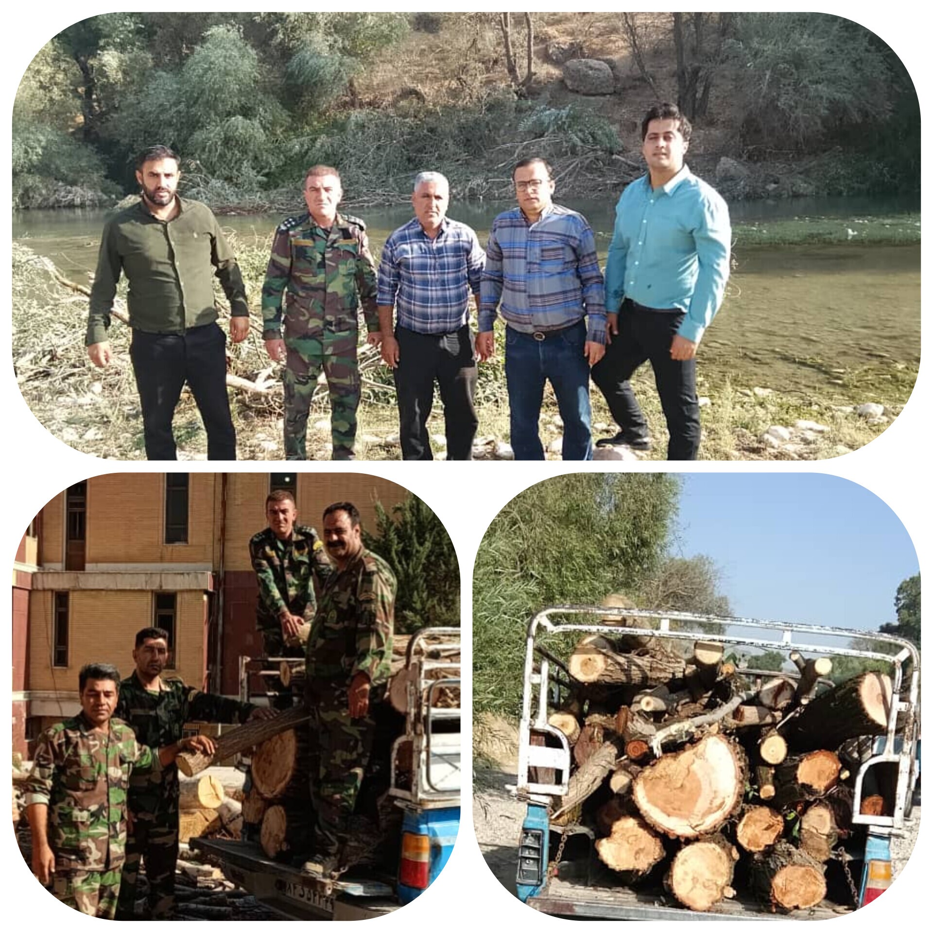 دستگیری متخلفان قطع درختان بید رودخانه ای در مزدک بویراحمد