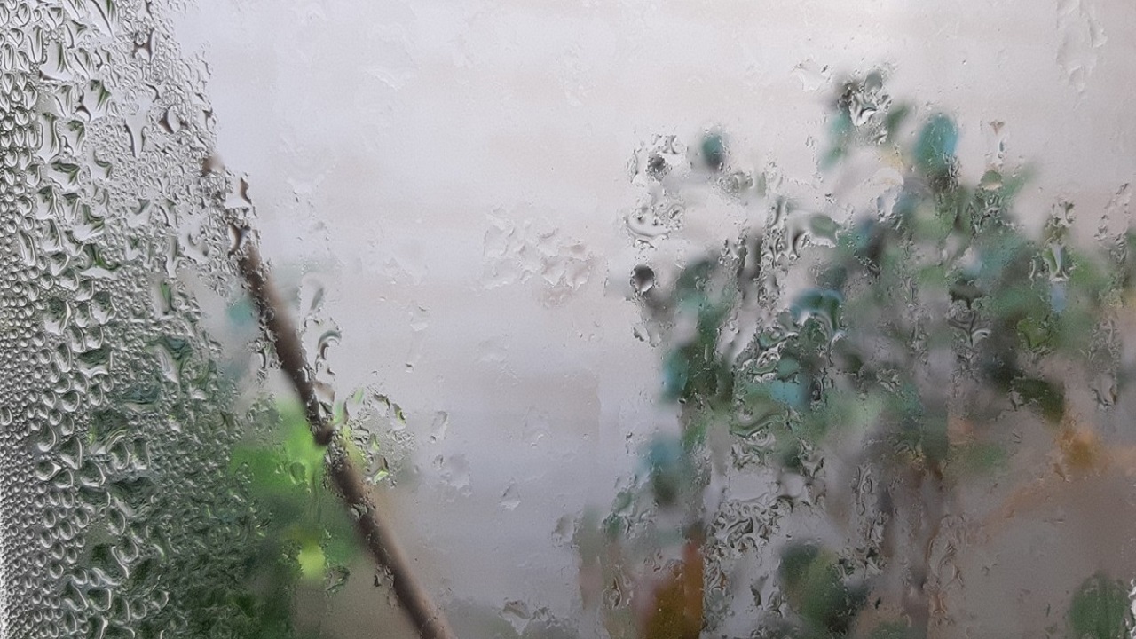 پیش بینی افزایش رطوبت و شرجی در خوزستان پیش بینی افزایش رطوبت و شرجی در خوزستان