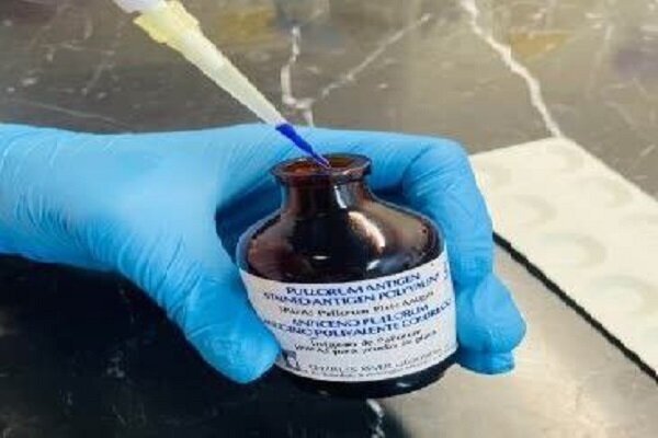 موفقیت پژوهشگران دانشگاه تهران در ساخت آنتیژن تشخیص سریع بیماری طیور موفقیت پژوهشگران دانشگاه تهران در ساخت آنتیژن تشخیص سریع بیماری طیور