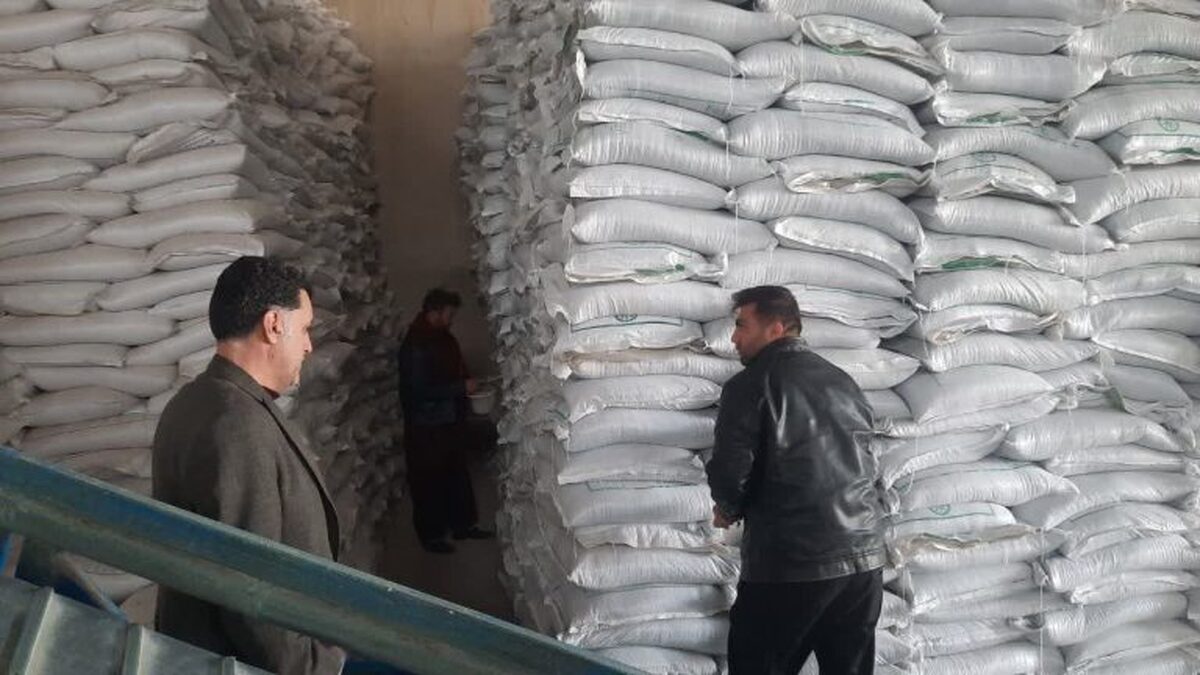 توزیع ۶۳ هزار تُن کود شیمیایی در همدان