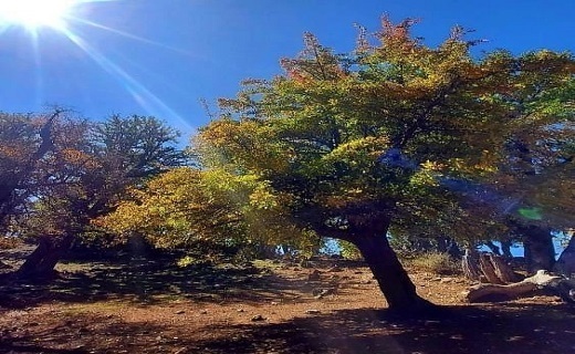 آسمان گیلان تا چند روز آینده صاف تا نیمه ابری آسمان گیلان تا چند روز آینده صاف تا نیمه ابری