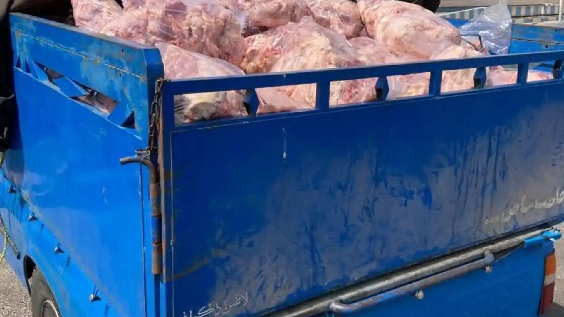 کشف بیش از ۲ تن ضایعات مرغ قبل از رسیدن به کارخانه