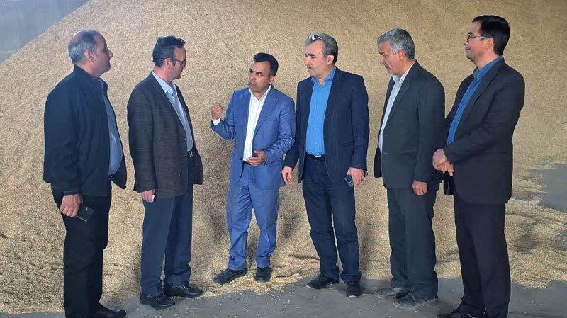 تسویه بدهی ۴۸ میلیارد تومانی جهاد کشاورزی به شرکت‌های تولید کننده بذر خراسان رضوی