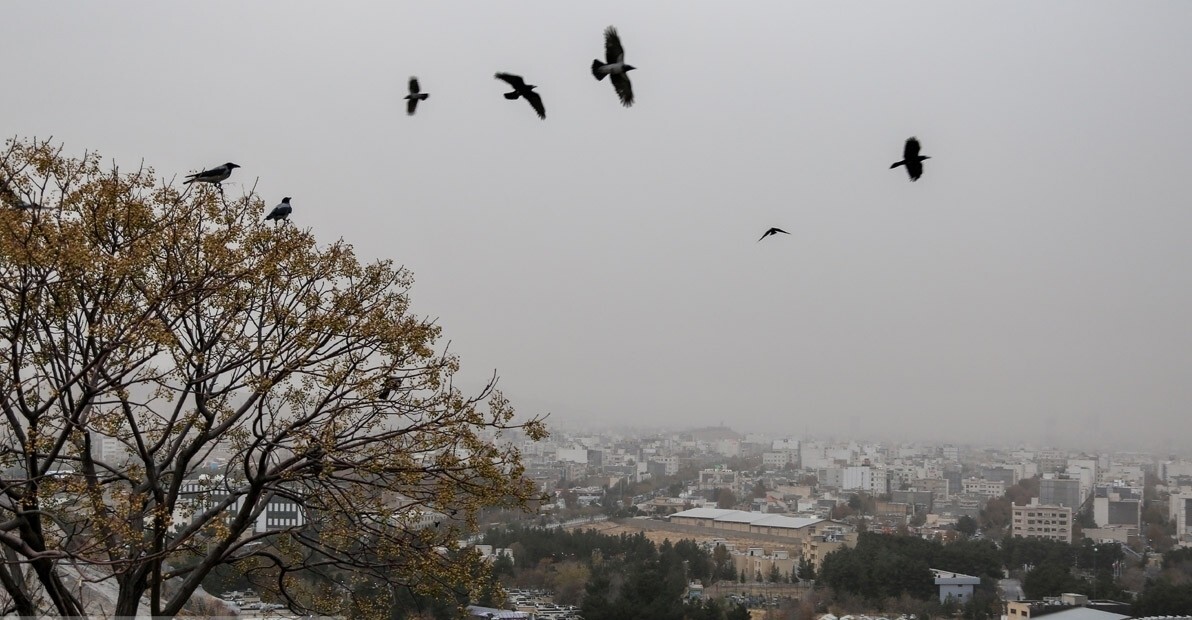 پایداری جو تا پایان هفته و رگبار پراکنده از شنبه