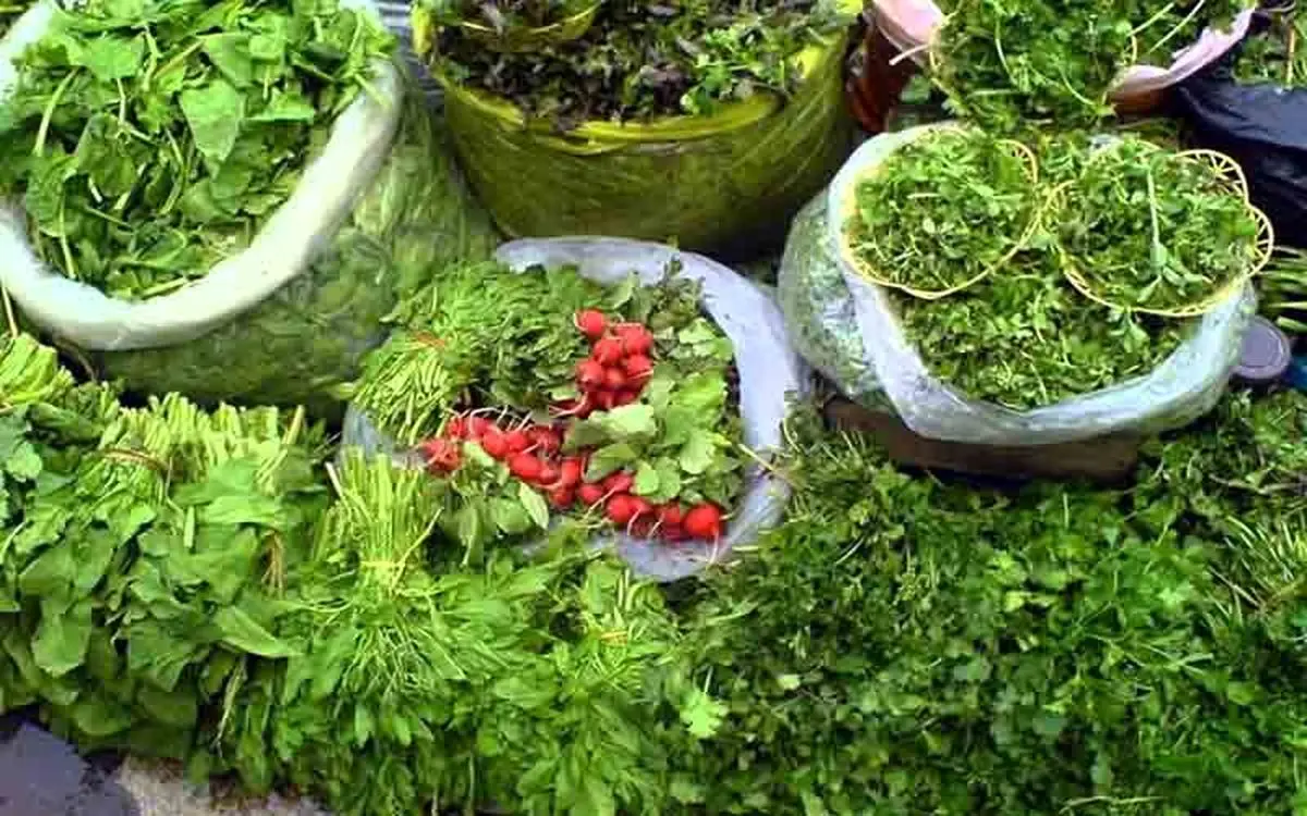 مزارع دهلران، هوس قورمه سبزی کردند مزارع دهلران، هوس قورمه سبزی کردند