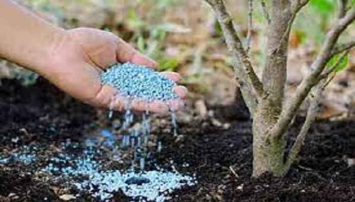 تامین و توزیع بیش از ۳۵ هزار تن انواع نهاده کشاورزی در زنجان تامین و توزیع بیش از ۳۵ هزار تن انواع نهاده کشاورزی در زنجان