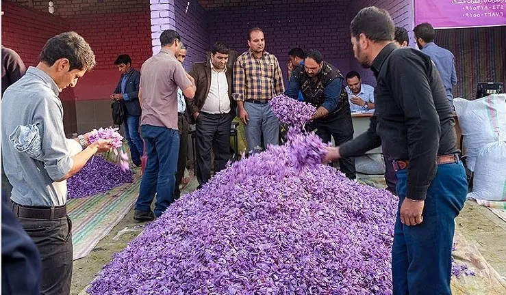 زعفران، میراثی کهن برای آیندگان