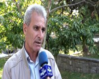 تعطیلی دو هفته‌ای میادین دواب مهاباد