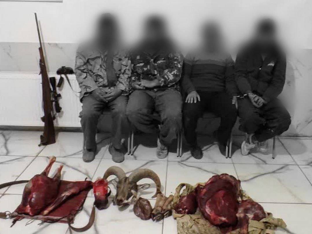 دستبند پلیس بر دستان ۴ شکارچی متخلف در ششتمد دستبند پلیس بر دستان ۴ شکارچی متخلف در ششتمد