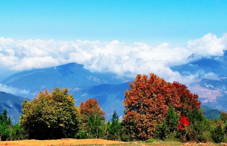 پایداری موقتی هوا و شروع بارش باران از اواخر وقت فردا