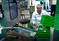 تأمین ۱۰ درصد شیر کشور در استان مرکزی