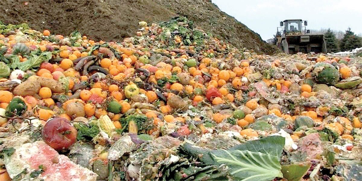 اولویتگذاری برای کاهش ضایعات در ۲۲ محصول کشاورزی اولویتگذاری برای کاهش ضایعات در ۲۲ محصول کشاورزی