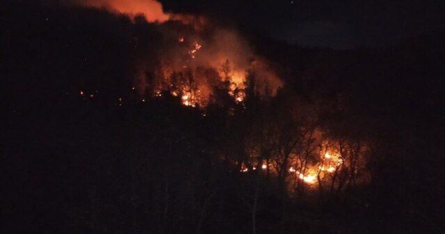 استاندار گیلان خبر داد:مهار کامل آتشسوزی در ارتفاعات لوندویل آستارا استاندار گیلان خبر داد:مهار کامل آتشسوزی در ارتفاعات لوندویل آستارا