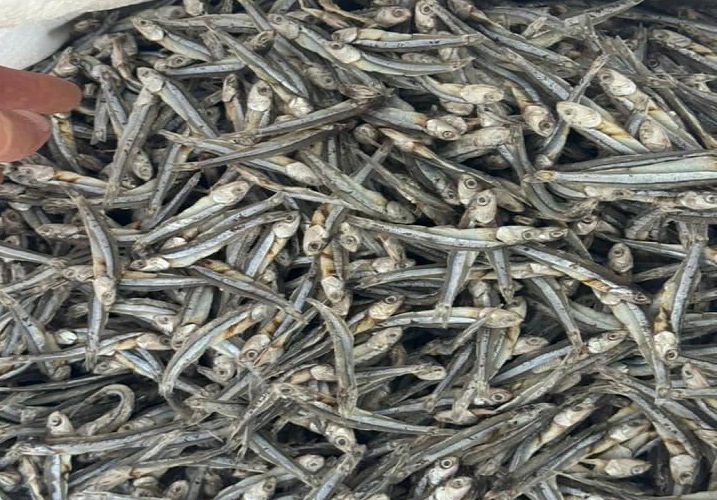 کشف ۳ تن ماهی خشک قاچاق در بندرعباس