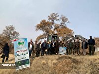 اجرای پویش کاشت نهال در کهگیلویه و بویراحمد