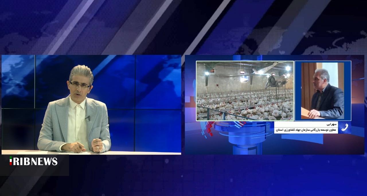 مرغِ گران، مدیریتِ نایاب مرغِ گران، مدیریتِ نایاب