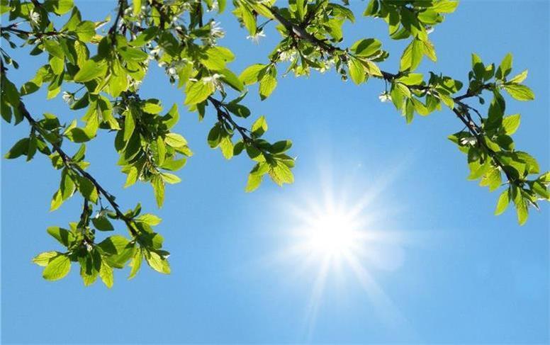 جوی پایدار تا پایان هفته حاکم جوی پایدار تا پایان هفته حاکم