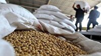 تسویه ۱۰۰ درصد بهای سویا کمتر از ۱۰ روز در گلستان