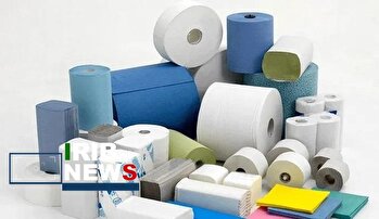 گیلان قطب صنایع تولید سلولوزی در ایران