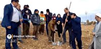 پویش ملی کاشت درخت همزمان با سراسر کشور