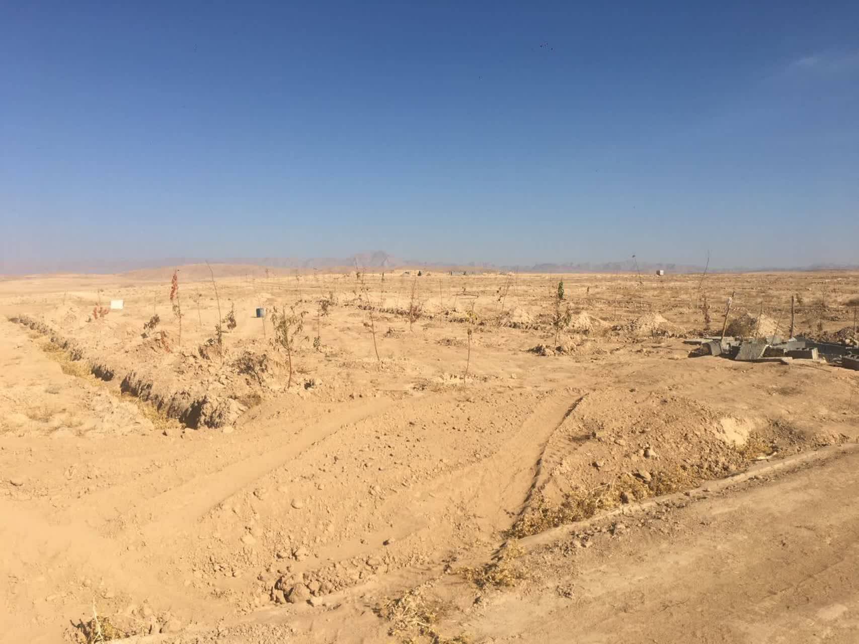 آزادسازی ۹ هکتار از اراضی کشاورزی دهستان کارده آزادسازی ۹ هکتار از اراضی کشاورزی دهستان کارده