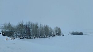 برف و گردشگران زمستانی