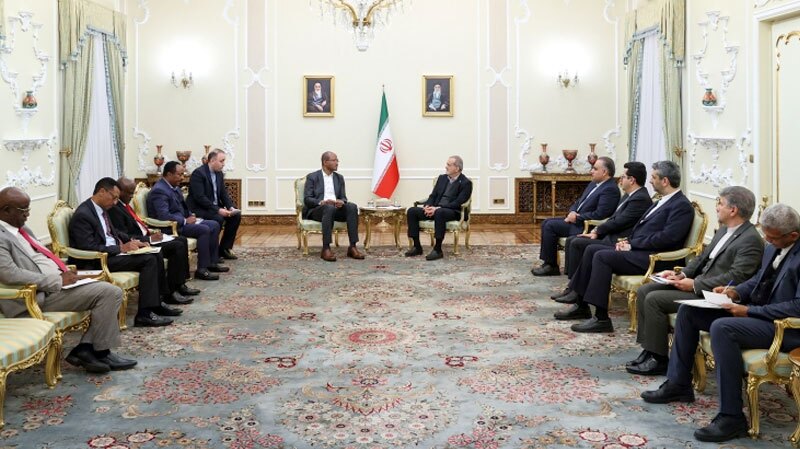 تاکید رئیس جمهور بر توسعه همکاری های دوجانبه با اتیوپی تاکید رئیس جمهور بر توسعه همکاری های دوجانبه با اتیوپی