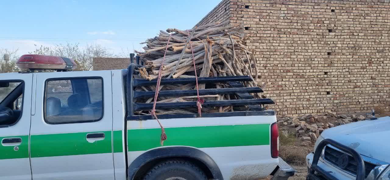 کشف ۷۰۰ کیلوگرم چوب تاغ قاچاق در آران و بیدگل کشف ۷۰۰ کیلوگرم چوب تاغ قاچاق در آران و بیدگل