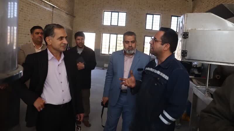 همکاری دستگاه‌ها و صنعتگران؛ رمز رشد و شکوفایی اقتصادی