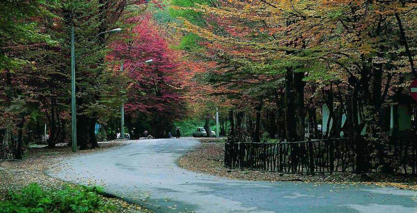 ***/ ظرفیت تبدیل پارک جنگلی گرگان به مرکز تولید صنایع دستی ***/ ظرفیت تبدیل پارک جنگلی گرگان به مرکز تولید صنایع دستی