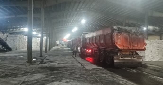 توزیع بیش از ۱۴۴۷ تن انواع کود کشاورزی در شهرستان چالدران 