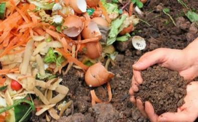 یلدای سبز با کاهش پسماند شب یلدا یلدای سبز با کاهش پسماند شب یلدا