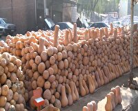 بازار پررونق کدو حلوایی در مهاباد