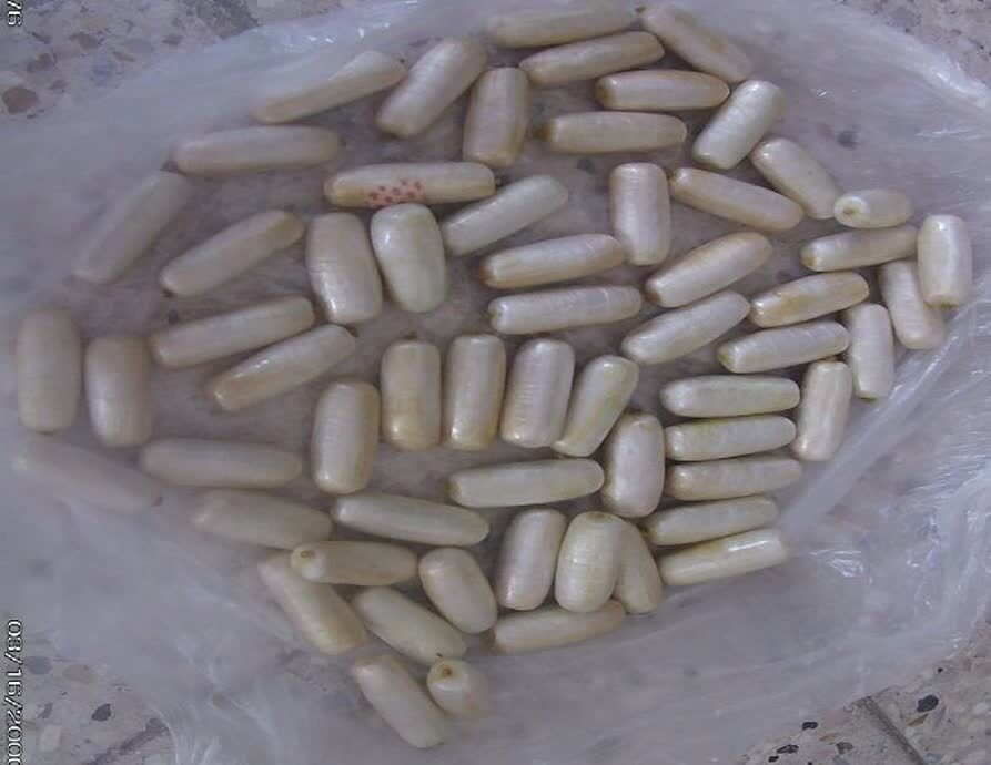 جاساز ۱۰۰ بسته تریاک در معده یک مسافر در قائن جاساز ۱۰۰ بسته تریاک در معده یک مسافر در قائن