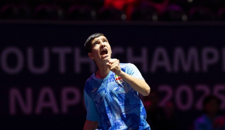 تنیس روى میز قهرمانى جهان؛ صعود فرجى به یک هشتم نهایى