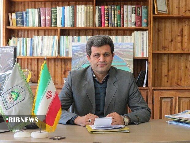 افزایش تولید نهال در کردستان