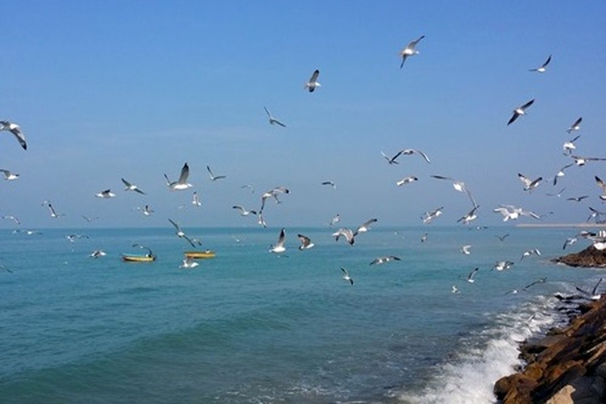 پیش بینی وضعیت جوی، دریایی ودمایی هرمزگان ۸ آذر پیش بینی وضعیت جوی، دریایی ودمایی هرمزگان ۸ آذر